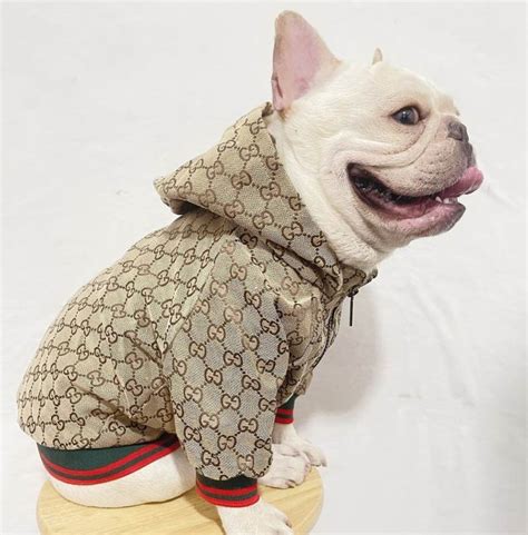 manteau chien gucci|Gucci designer dog clothing.